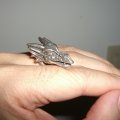 McCloud Ringworks Dragon ring