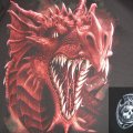 DRAGONS ROAR 
Spiral direct shirt