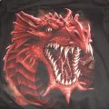 Dragons roar - Another cool shirt from Spiral Direct