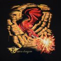 Cave Dragon shirt