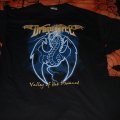 Bought it at a Dragonforce concert in May, 06. I think its called "Lightening dragon"