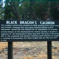 Black dragon info