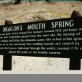 dragon mouth info